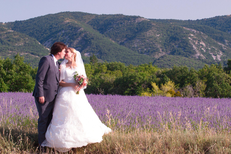 Valensole: Professional Photo in a Lavender Field Valensole: Professional photo in a lavender field