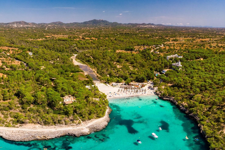 Mallorca Premium: Private Beach Day with Snorkel & SUP