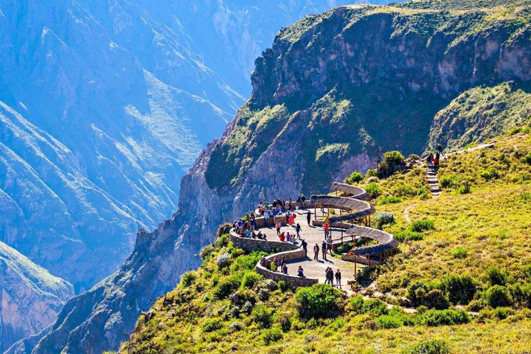 Da Arequipa: escursione di un giorno nel Canyon del Colca con colazione