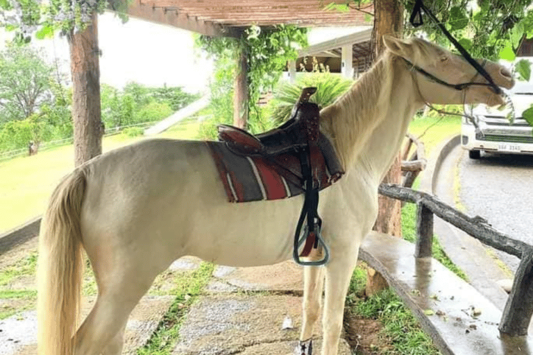 Tour de medio día por la ciudad | Puerto Princesa