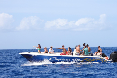 Martinique: Dolphins, Turtles and Discovery of the Caribbean Coast Guardians of the Caribbean Coast: Dolphins, Turtles & Local History