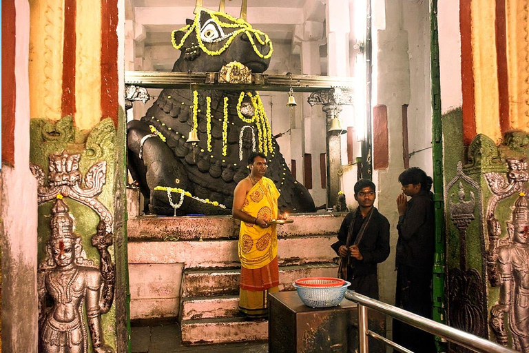 Bangalore: Private City Tour with Guide & Hotel Pickup