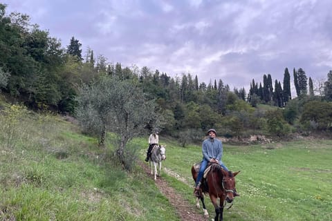 From Florence: Private Horseback Ride, Truffle Hunt, & Lunch
