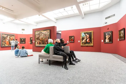 Biglietto Groeningemuseum (Museo di Groeninge)