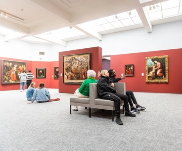 Ticket Groeningemuseum (Groeninge Museum)
