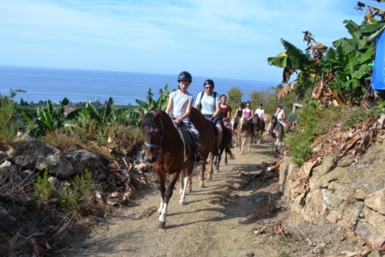 Randonnée à cheval à Alanya : sentiers pittoresques et vues sur la côte