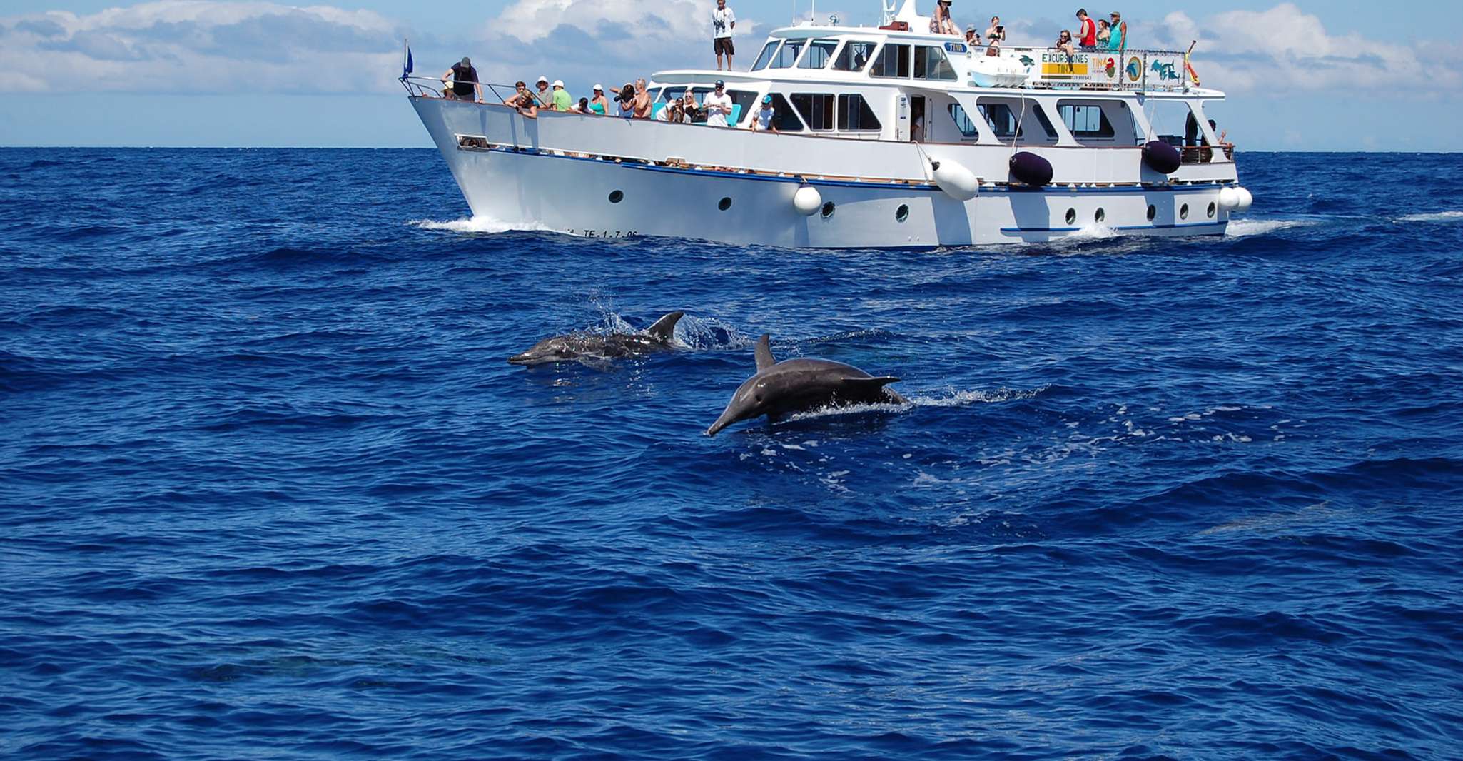 La Gomera, Whale Watching Tour on an Vintage Boat - Housity