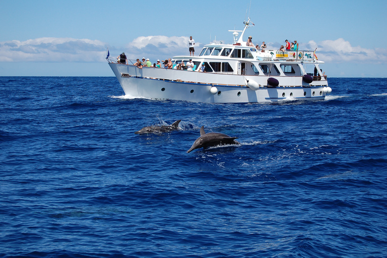 La Gomera: Rejs wycieczkowy z obserwacją wielorybów na zabytkowej łodziWycieczka z Valle Gran Rey