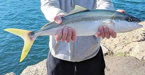 Sydney: Onshore Fishing Experience with Equipment