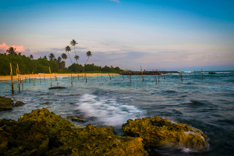 Sri Lanka: 9-Day Honeymoon Tour with Accommodation