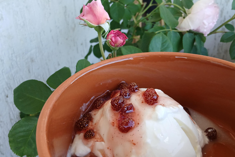 Sofia: Taste Bulgarian Kiselo Mlyako Yogurt in a Family Home