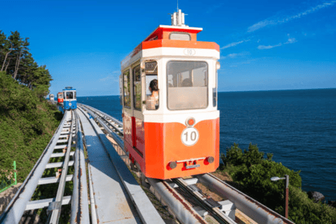 Busan: Biljett till Blue Line Park Sky Capsule TrainBiljett till Sky Capsule med utsikt över bergen