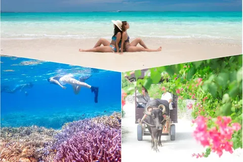 Ishigaki: Phantom Island Snorkeling and taketomi sightseeing