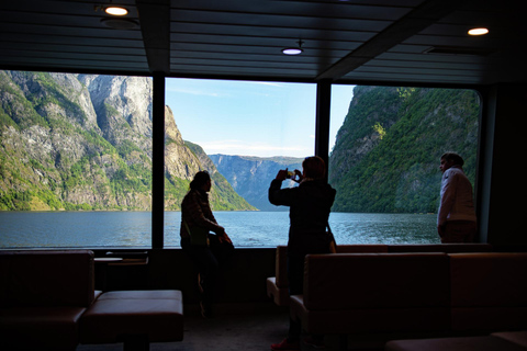 Visite privée d&#039;une journée - Chemin de fer de Flam et croisière dans les fjords depuis Bergen