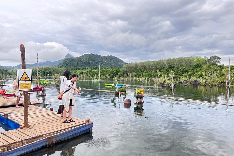 Krabi: Mirador Klong Root Kayak,Alimentación de Peces y másPrograma B: Kayak, plantación de caucho y alimentación de elefantes