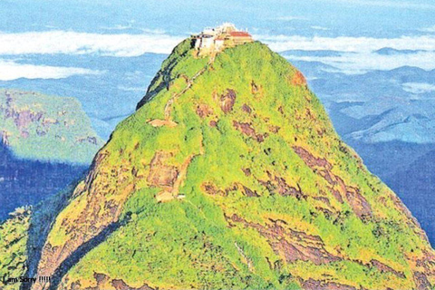 Da Kalutara: Escursione all&#039;alba dell&#039;Adams Peak con trasferimento in hotel