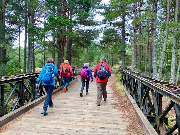 Edinburgh: Scottish Highlands Walking Day Tour with Guide