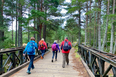From Inverness: Scottish Highlands Walking Tour with Guide