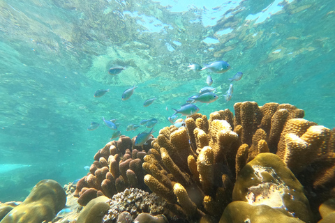 From Khao Lak: Phi Phi, Maya bay & Khai island Day Trip