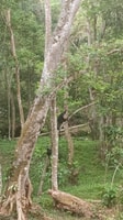 Toadbatu Panorama Walking Tour + Camping in the Forest - Housity