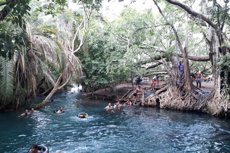 Chemka Hot springs Day Trip