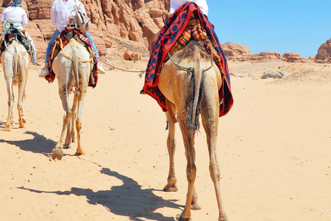 Excursión de un día de aventura con deportes acuáticos en Sharm