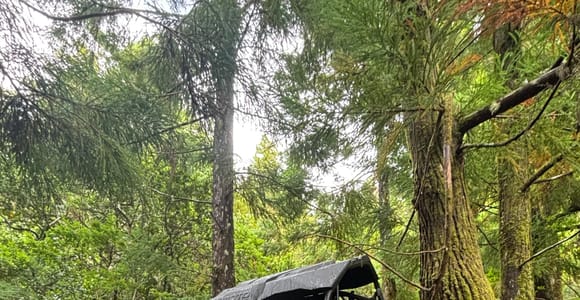 Pico: Dune buggy adventure