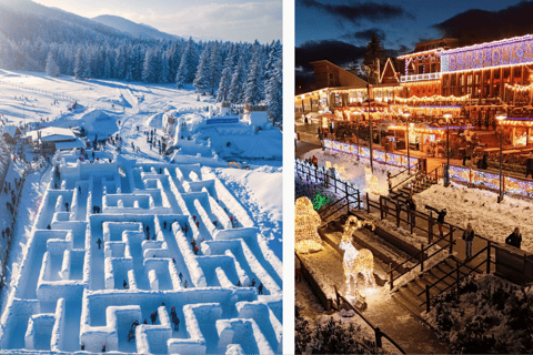 من كراكوف زاكوباني والحمامات الحرارية مع سائق شخصي