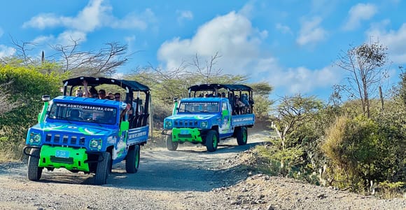Aruba: Natural Pool, Caves & Baby Beach Jeep Adventure