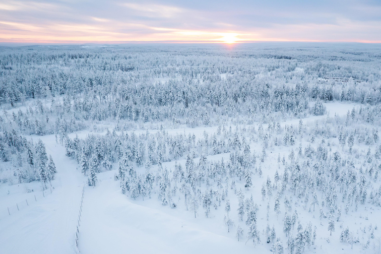 روفانيمي: رحلة على زلاجة الرنة عبر الغابة