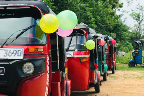 Sigiriya: Tuk Tuk Tours arund rock view points and city Tour