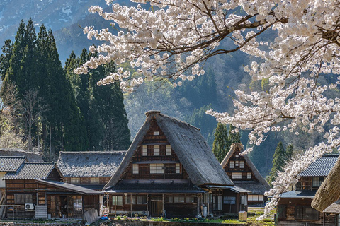 Nagoya till Hida Takayama &amp; Shirakawa-go Village Dagsutflykt