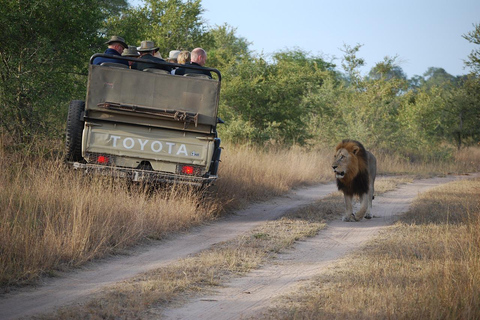 Från Zanzibar: Mikumi dagssafari (flyg och öppen safari-jeep)