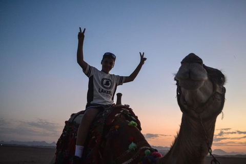 Hurghada: Express Quad Bike Ride w/ Transfers 1 Hour ATV Ride