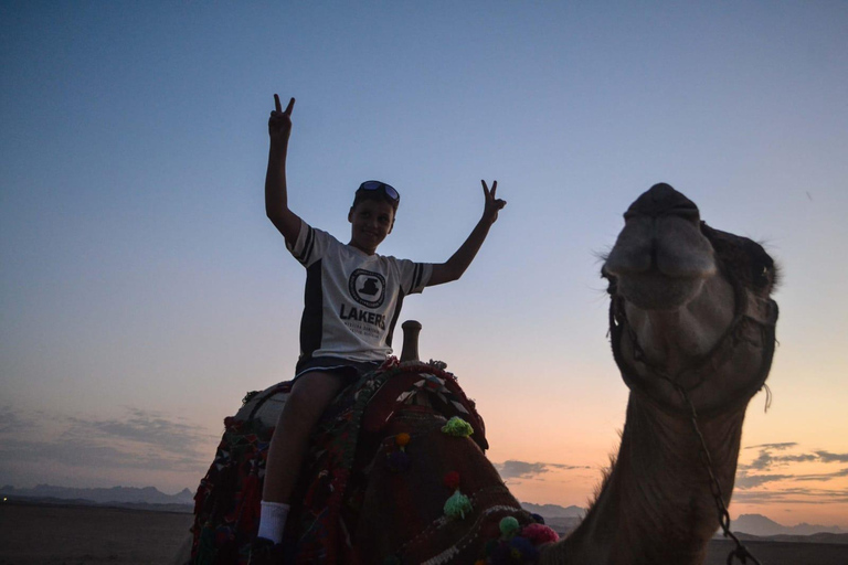Hurghada: Express Quad Bike Ride w/ Transfers 1 Hour ATV Ride
