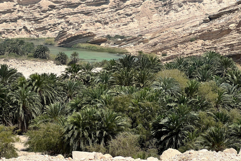 Salalah: Coastal Highway Tour to Fushi Dunes & Hasik Beach