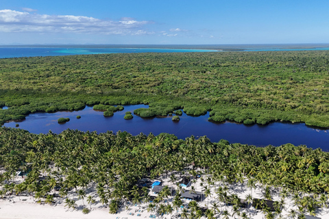 Saona Island: Premium Beach Tour