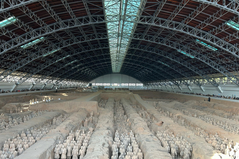 Xi'an: Terracotta Army, City Wall, Pagoda & Family Lunch Private Guided Tour with Lunch and Pickup Anywhere in Xi'an
