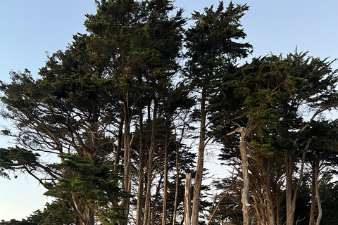 Baker Beach Hike