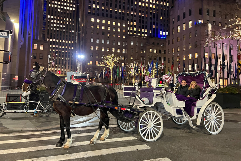 NYC: Passeio particular de carruagem a cavalo pelo Central Park com guiaPasseio particular de carruagem a cavalo pelas luzes de NYC ou pelas luzes de Natal