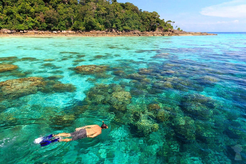Phuket/Khao Lak: The Ultimate Surin Island Snorkel Odyssey Hotel pickup in Phuket