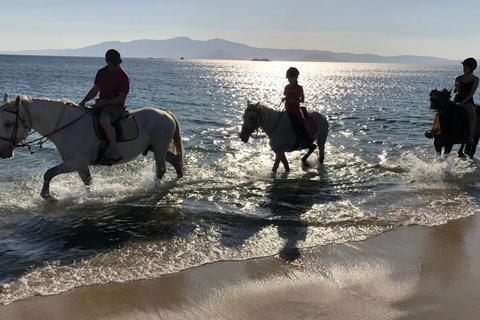 From Thessaloniki: Kallithea Beach Horseback Riding Horse Beach
