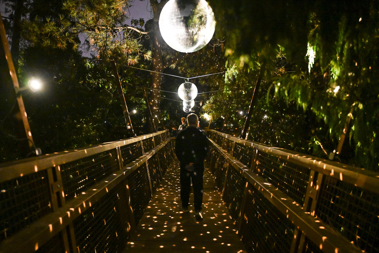 Porto: Serralves Em Luz Immersive Light Show Entry Ticket