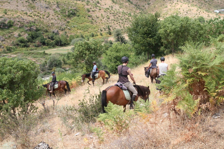 Antalya: Horse Riding Journey Across Beach & Pine Forest Antalya: Horse Riding Day Time