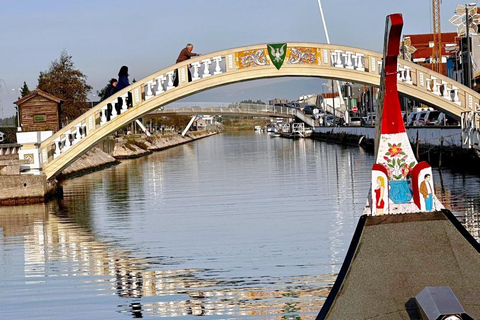 From Porto: Aveiro and Costa Nova Half-Day Tour with Cruise