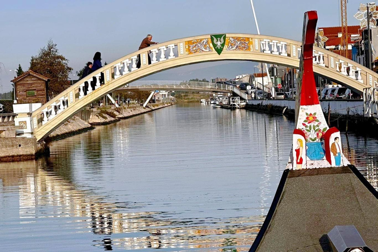 From Porto: Aveiro and Costa Nova Half-Day Tour with Cruise