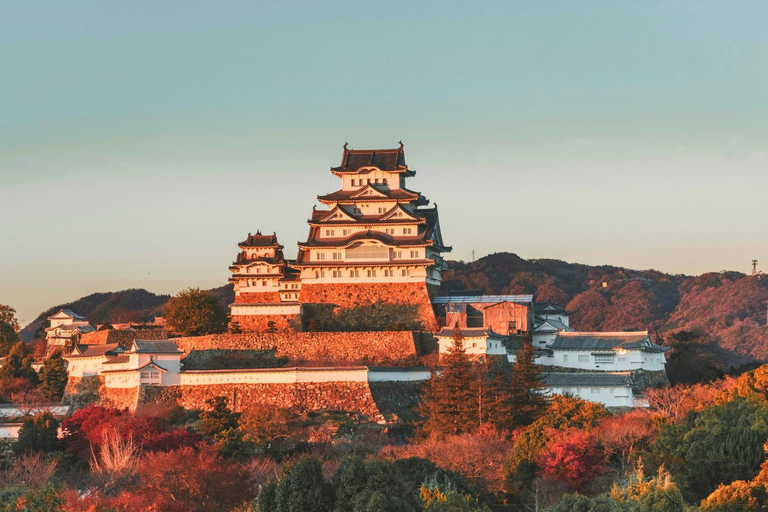 Tokyo: Private 1-Day Tour with English-Driver, Customizable