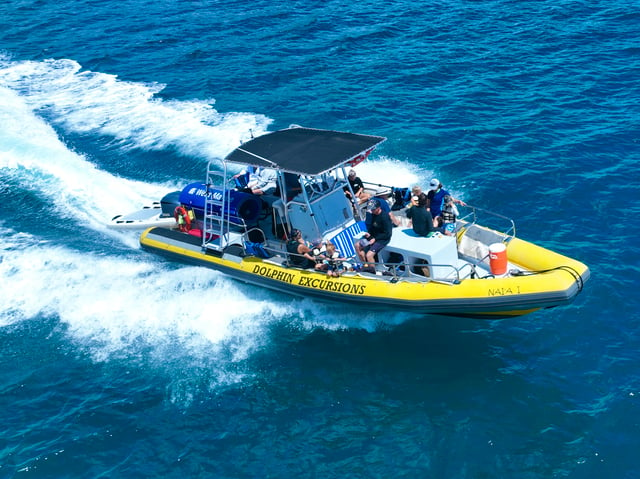 Oahu: Excursión para nadar con delfines y bucear con esnórquel con tortugas en Waianae