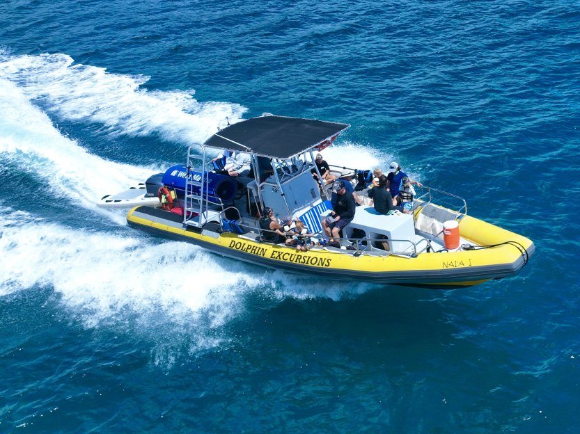 Oahu: Nuota con i delfini e fai snorkeling con le tartarughe a Waianae