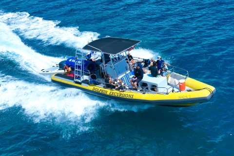 Oahu: excursie met dolfijnen zwemmen en snorkelen met schildpadden in Waianae